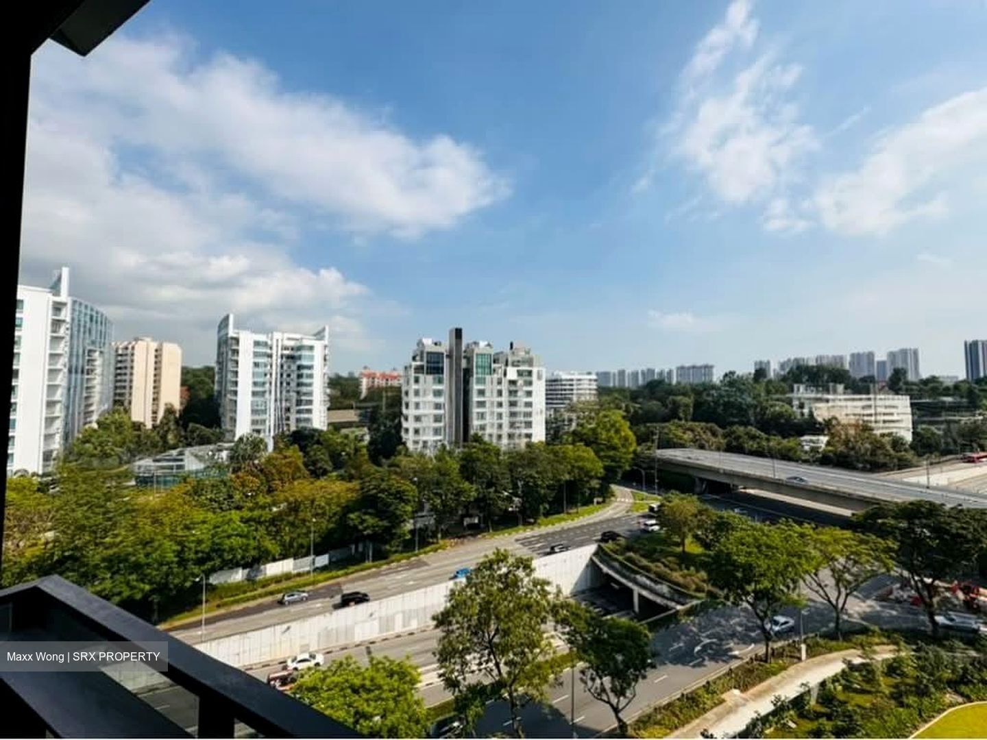 Leedon Green (D10), Condominium #595138031
